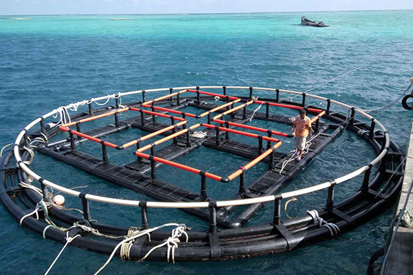 深海奇跡、水下牧場：探索深海養(yǎng)魚網(wǎng)箱在水產(chǎn)養(yǎng)殖中的新可能